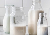 با ترکیبات شگفت انگیز گروه شیر و لبنیات بیشتر آشنا شویم